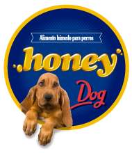 Tecopesca-Logo-Honey-Dog
